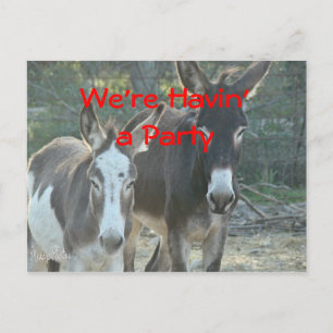 Mule Postcard-any-Chance-Customize Postkarte