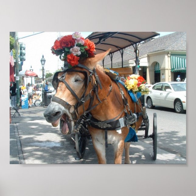 Mule Ride Poster (Vorne)