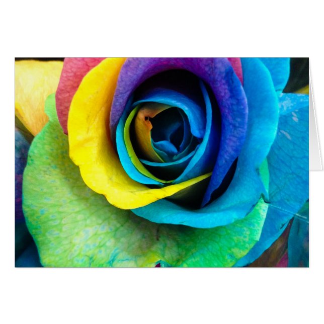 Mulit-farbige Rose von SnapDaddy, kann personalisi (Vorderseite (Horizontal))