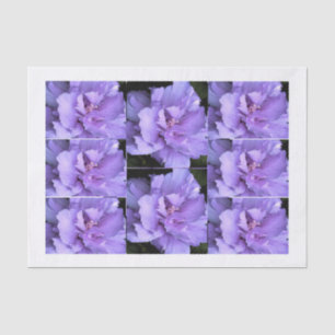 Multi Bilder Lavendel-Rosen-Sharons Seidenpapier