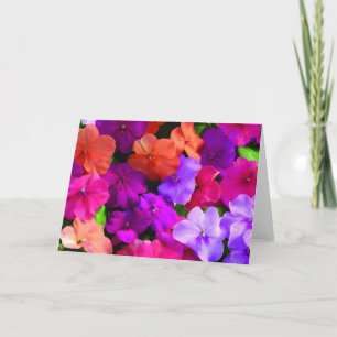Multi FarbBlumen-Karte - freier Raum Karte