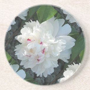 Multi Precious Peony Coaster Sandstein Untersetzer