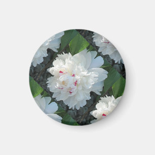 Multi Precious Peony Magnet
