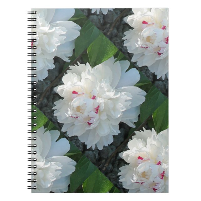 Multi-Wertvoll Peak-Notebook Notizblock (Vorderseite)