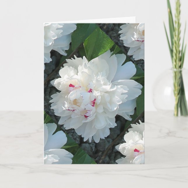 Multi-Wertvoll Peony Gruß- und/oder Note-Card Karte (Vorderseite)