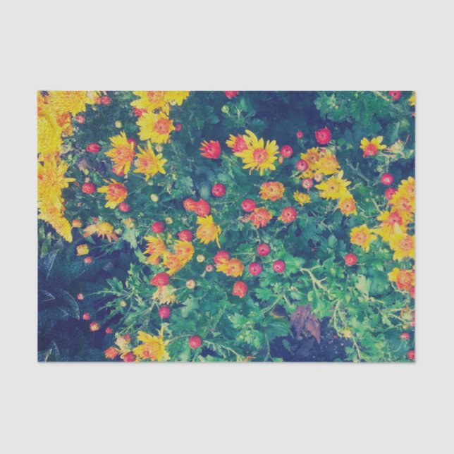 Multicfarbene Wiesenweide, wilde Dissy-Blume Seidenpapier (Vorderseite)