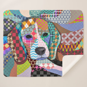 Multicolor Beagle Hund 161 Sherpadecke