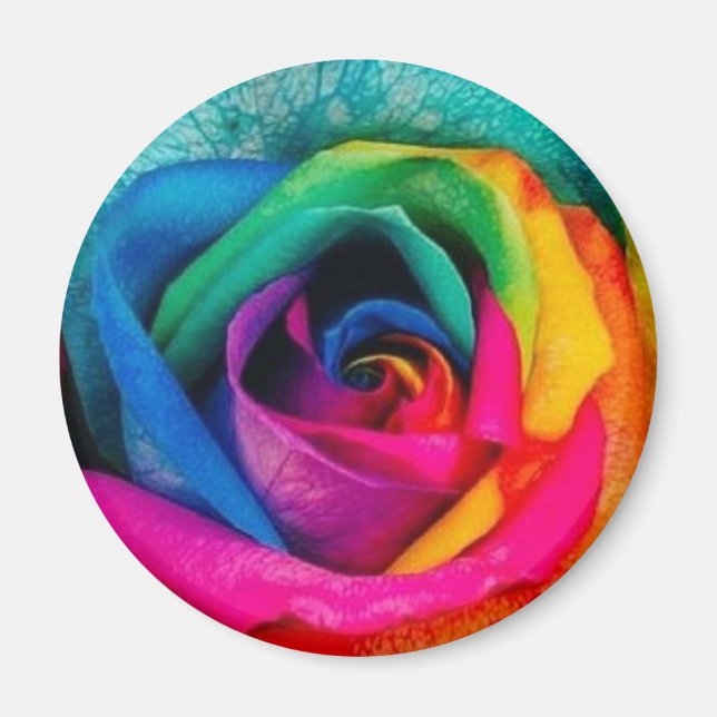 Multicolor-Rose Magnet (Vorne)