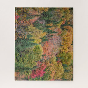 Multicolor Tree Puzzle