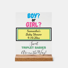 Multiples Baby Dusche Pink Blau Grün Acrylschild