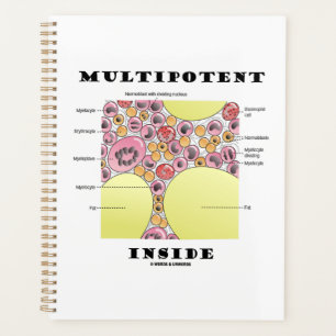 Multipotent im Inneren Blutbildung Humor Planer