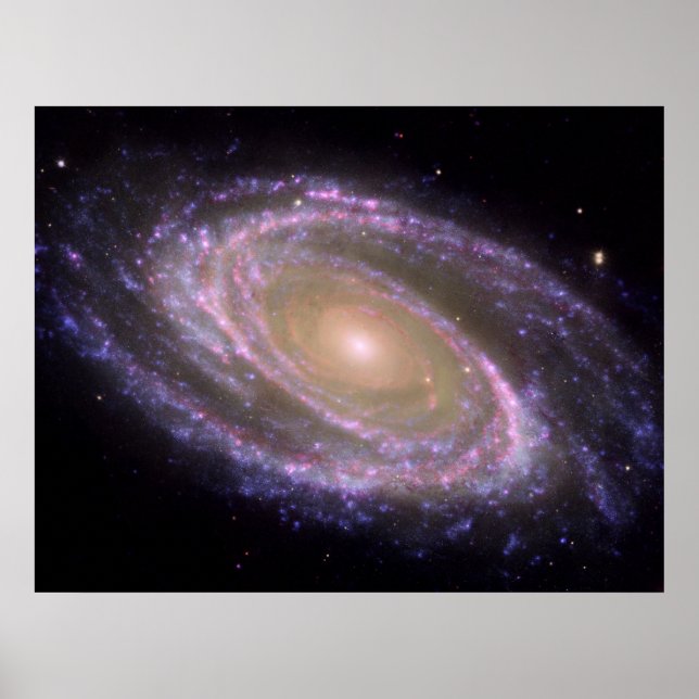Multiwellenlänge M81 Poster (Vorne)
