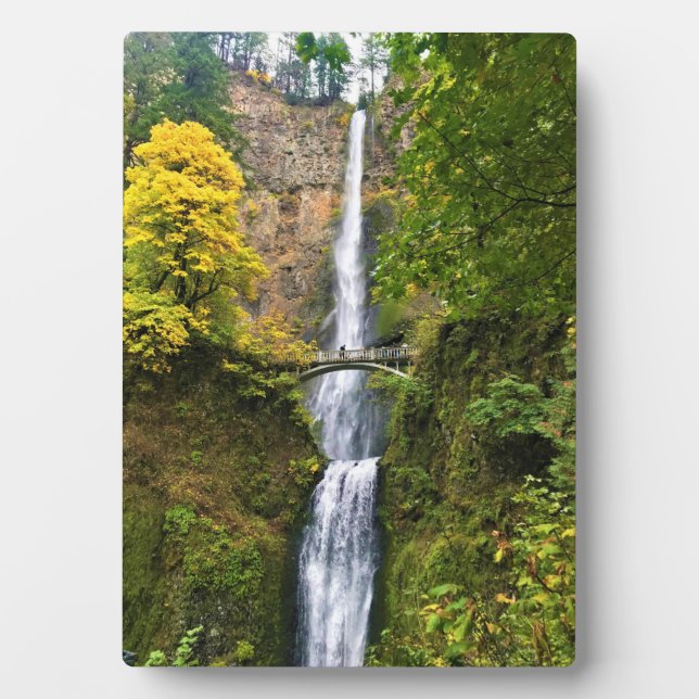 Multnomah Falls, Columbia River Gorge, Oregon Fotoplatte (Vorderseite)