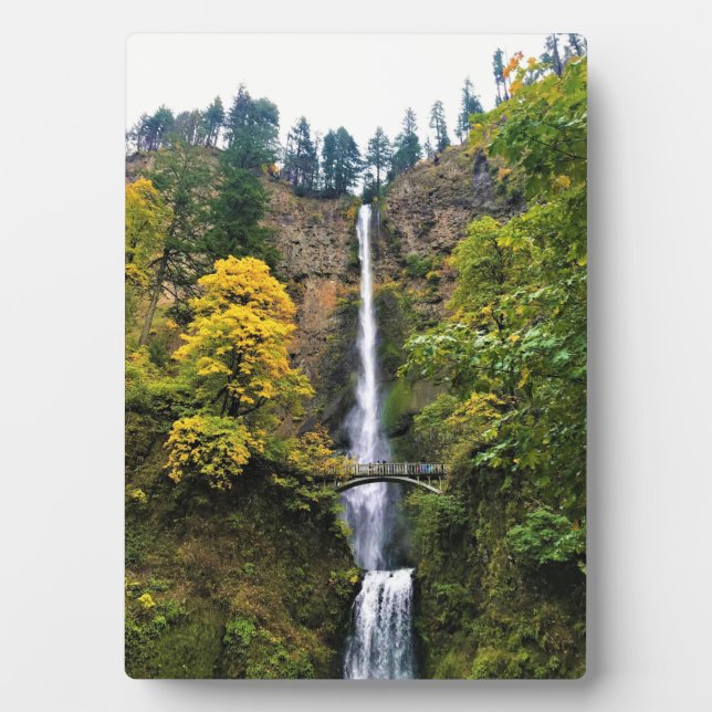 Multnomah Falls, Columbia River Gorge, Oregon Fotoplatte (Vorderseite)