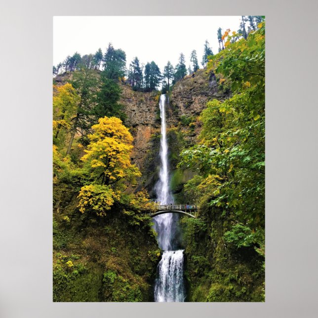 Multnomah Falls, Columbia River Gorge, Oregon Poster (Vorne)