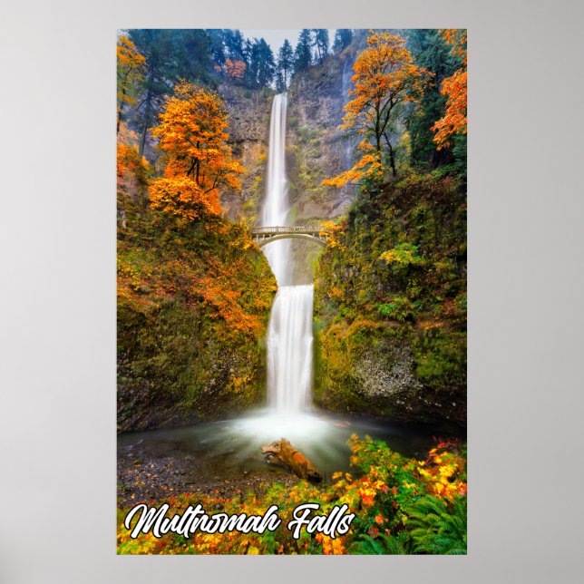 Multnomah Falls, Columbia River Gorge, Oregon Poster (Vorne)