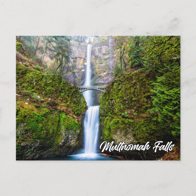 Multnomah Falls, Columbia River Gorge, Oregon Postkarte (Vorderseite)