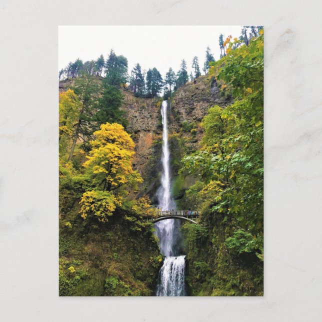 Multnomah Falls, Columbia River Gorge, Oregon Postkarte (Vorderseite)