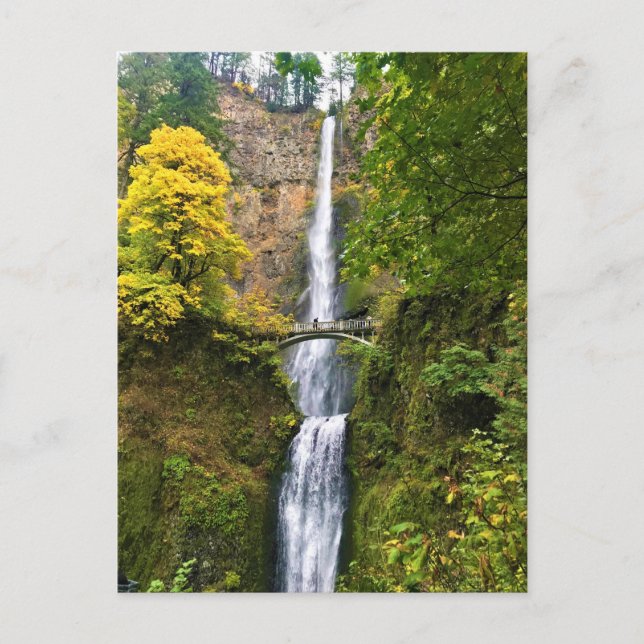 Multnomah Falls, Columbia River Gorge, Oregon Postkarte (Vorderseite)