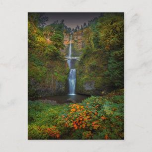 Multnomah Falls   Columbia River Gorge, Oregon Postkarte