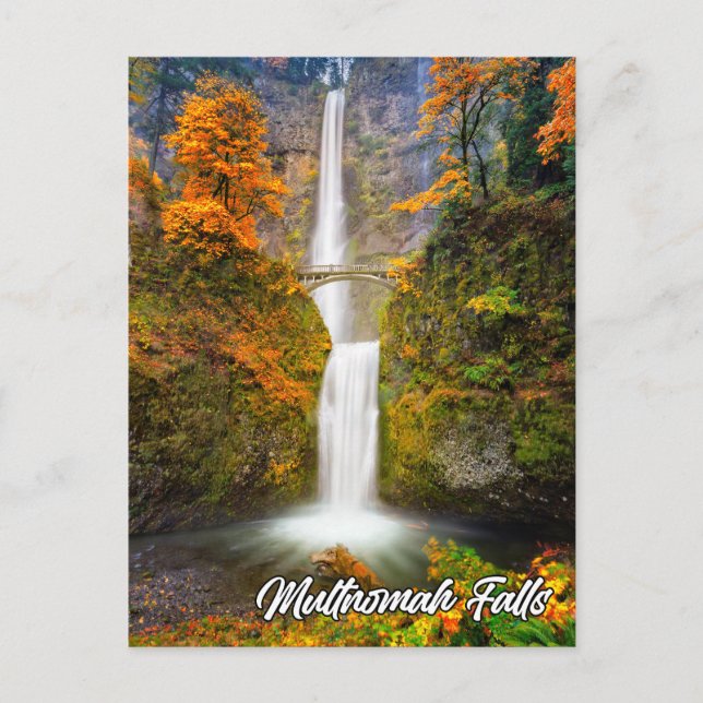 Multnomah Falls, Columbia River Gorge, Oregon Postkarte (Vorderseite)