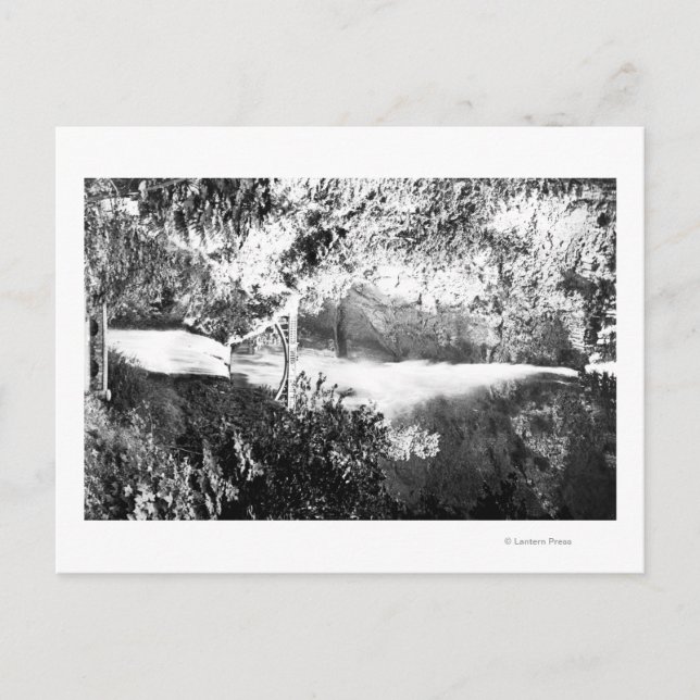 Multnomah Falls FotographColumbia River, OR Postkarte (Vorderseite)