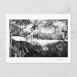 Multnomah Falls FotographColumbia River, OR Postkarte