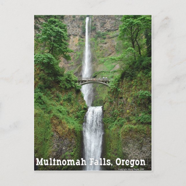 Multnomah Falls, OR Postkarte (Vorderseite)