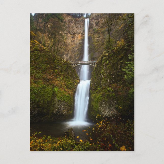 Multnomah Falls ・ Oregon Post Card Postkarte (Vorderseite)