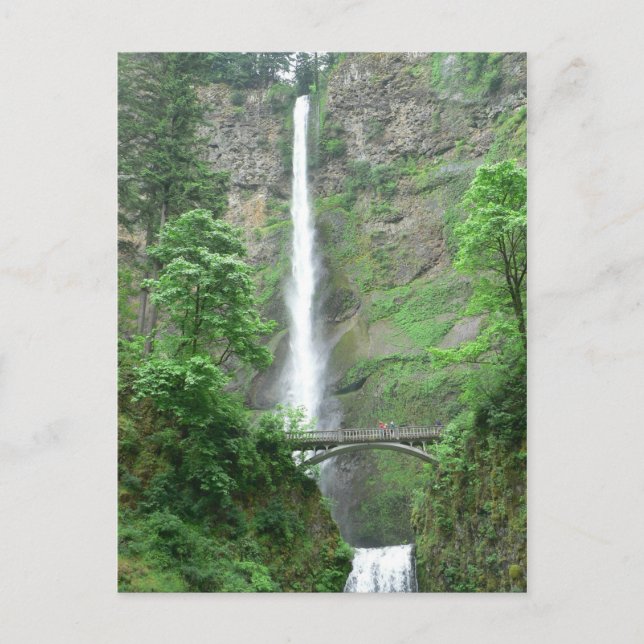 Multnomah Falls Postcard Postkarte (Vorderseite)