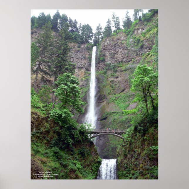 Multnomah Falls Poster (Vorne)
