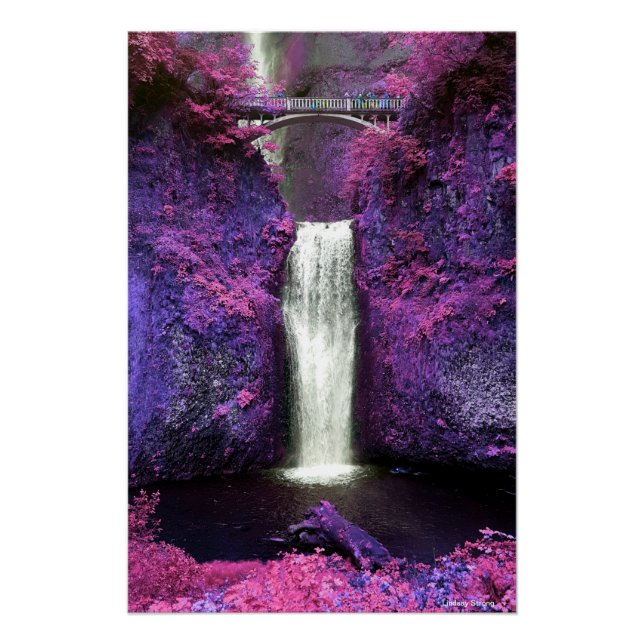 Multnomah Falls Poster 18,67" x 28" (Vorderseite)