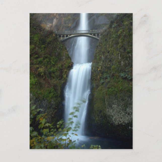 Multnomah Falls Postkarte (Vorderseite)