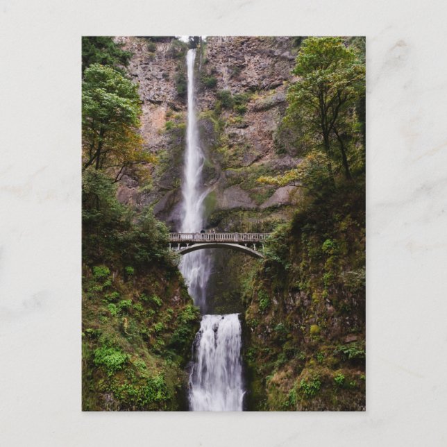 Multnomah Falls Postkarte (Vorderseite)
