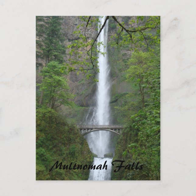 Multnomah Falls Postkarte (Vorderseite)