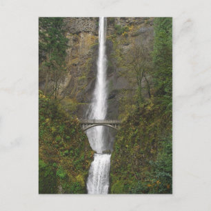 Multnomah Falls und Benson Footbridge Postcard Postkarte
