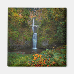Multnomah fällt   Columbia River Schlucht, Oregon Magnet