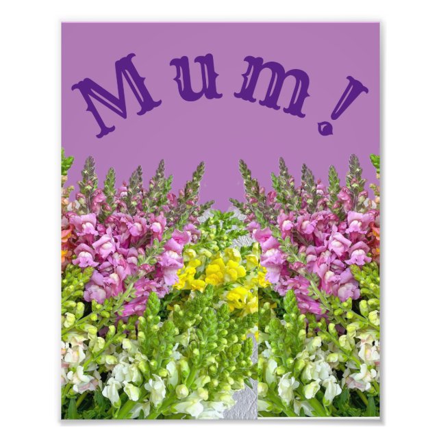 MUM! FOTODRUCK (Vorne)