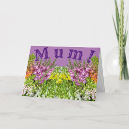 MUM! Karte