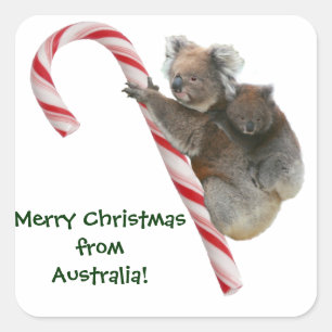 Mum und Joey Koala Candy Cane Weihnachten Quadratischer Aufkleber