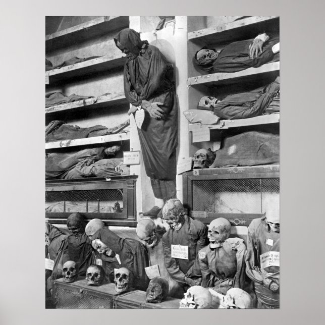 Mumien in den Katakomben von Palermo, Italien Poster (Vorne)