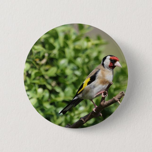 Münch Button (Vorderseite)