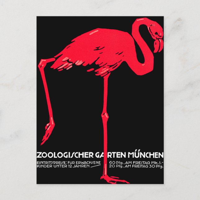 München Zoo Garden Flamingo Postkarte (Vorderseite)