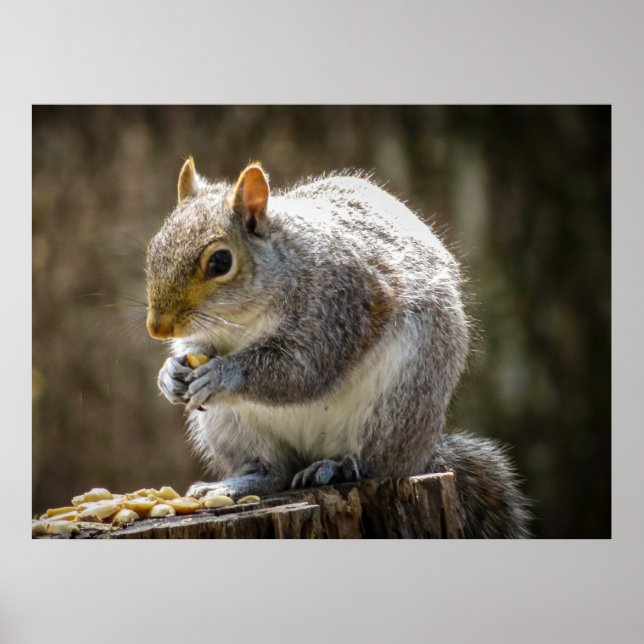 Munchies Poster (Vorne)