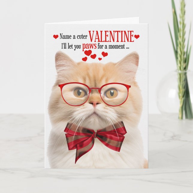 Munchkin Cat Feline Spaß Valentinstag Feiertagskarte (Vorderseite)