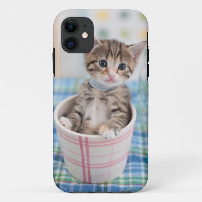 Munchkin Kätzchen mit hübschem Band Case-Mate iPhone Hülle (Rückseite)