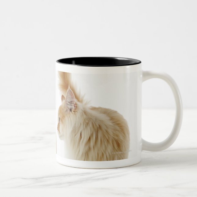 Munchkin Katzen Zweifarbige Tasse (Rechts)