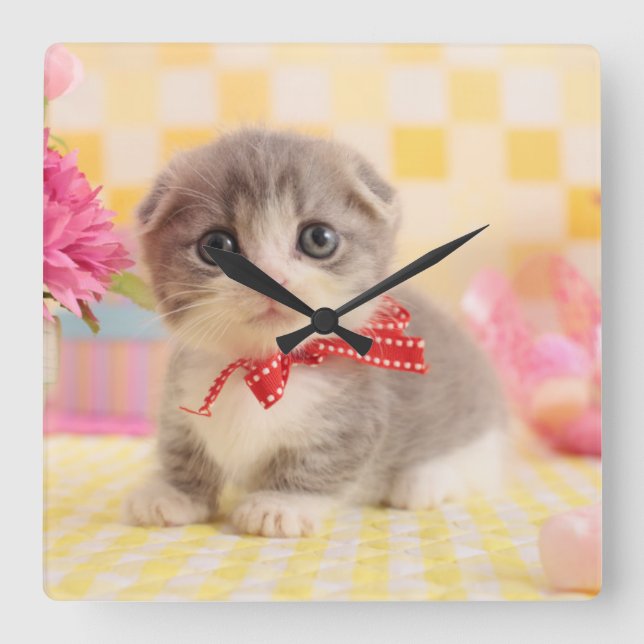 Munchkin Kitten Quadratische Wanduhr (Vorderseite)