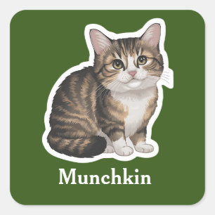 Munchkin Quadratischer Aufkleber