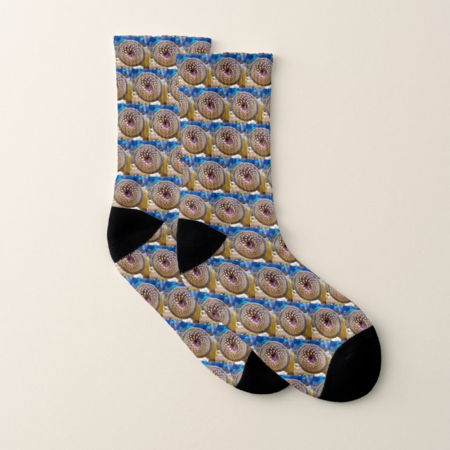 Mund des Lamprey Socken (Paar)
